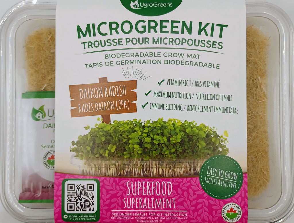 Radish microgreen grow kit