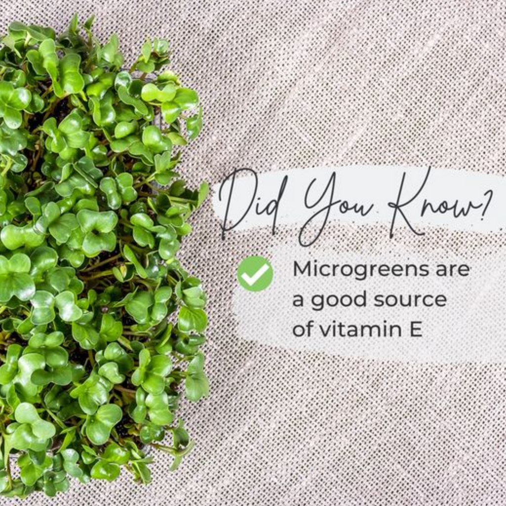 Microgreens…for chefs?!