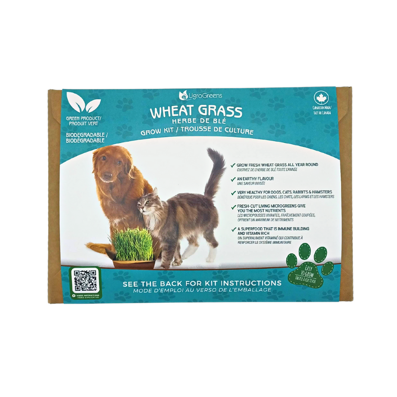 Wheatgrass Pet Kit