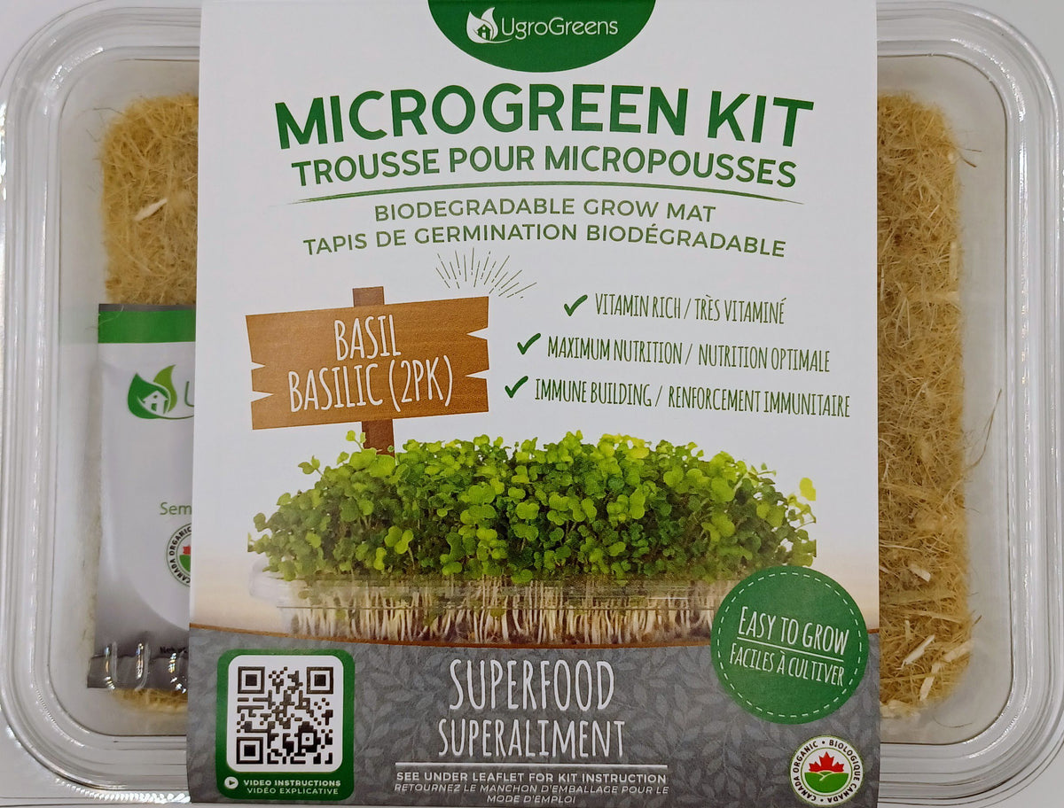 Basil Microgreens – Ugrogreens