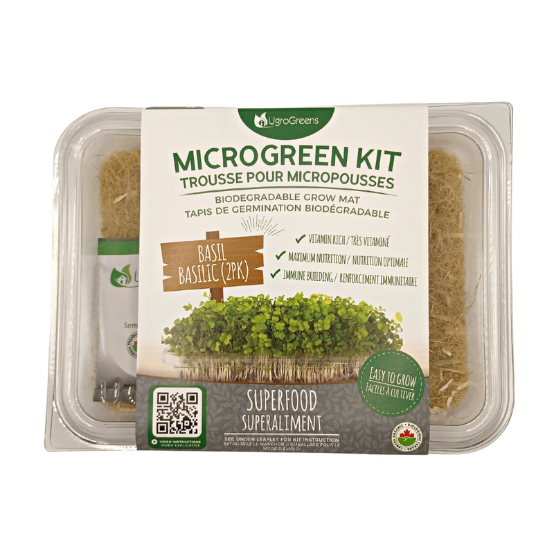 Microverts de basilic