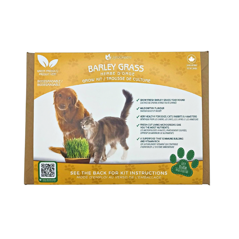 Kit d'herbe d'orge pour animaux