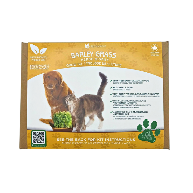 Barley Grass Pet Kit