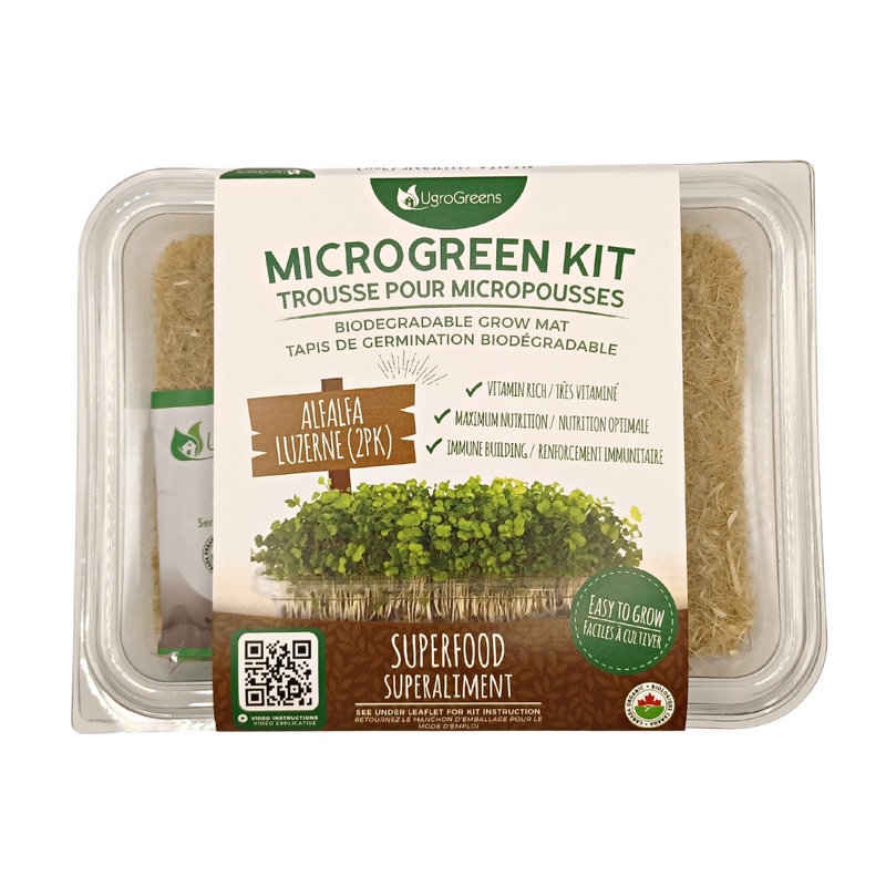 Alfalfa Microgreens